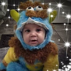 Meet your Posher, Misty dawn